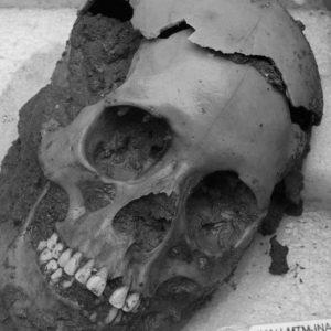 Police found 150 skulls at a “crime scene” in Mexico. It turns out the victims, largely ladies, have been ritually decapitated over 1,000 years in the past.