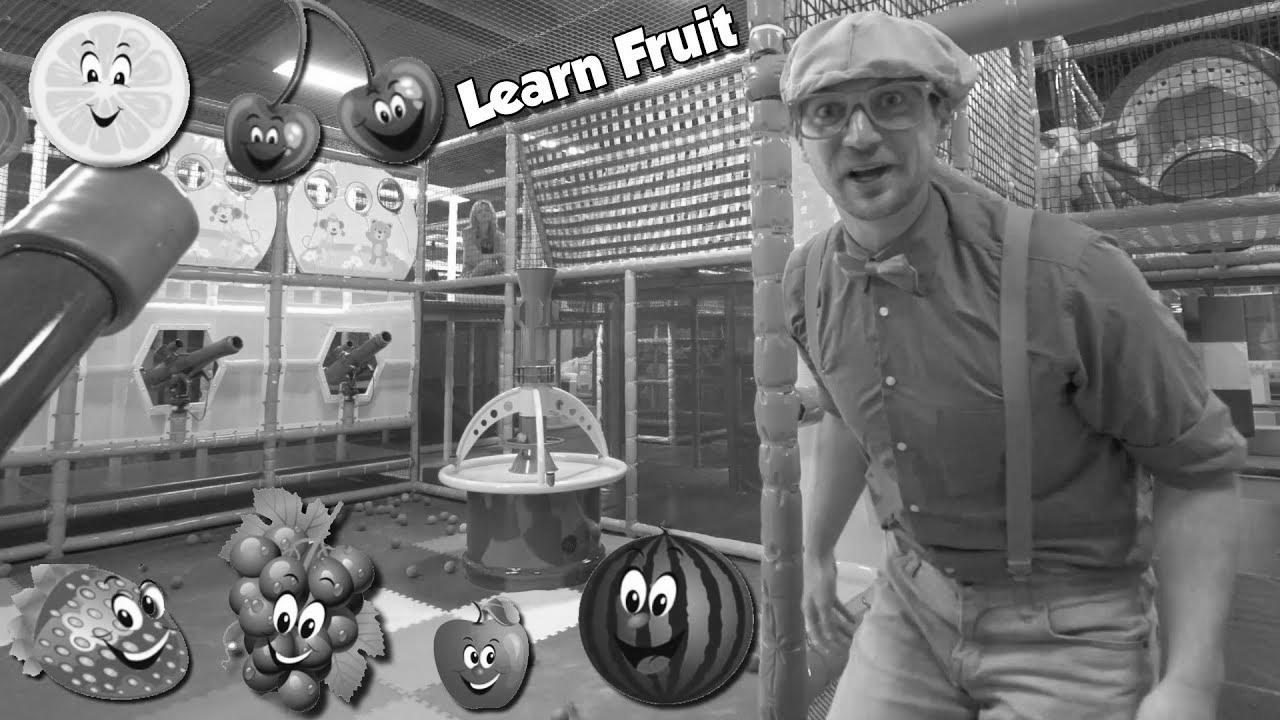 Study Fruits with Blippi |  Academic Indoor Playground Movies for Youngsters